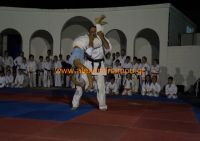 karate (8) (Αντιγραφή)